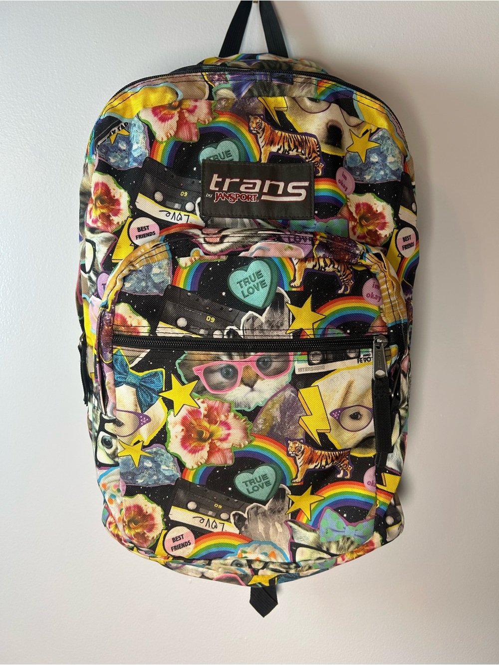 Jansport Trans Hairball Colorful Backpack Dog Cat Superbreak Bag RARE 2014 Retro